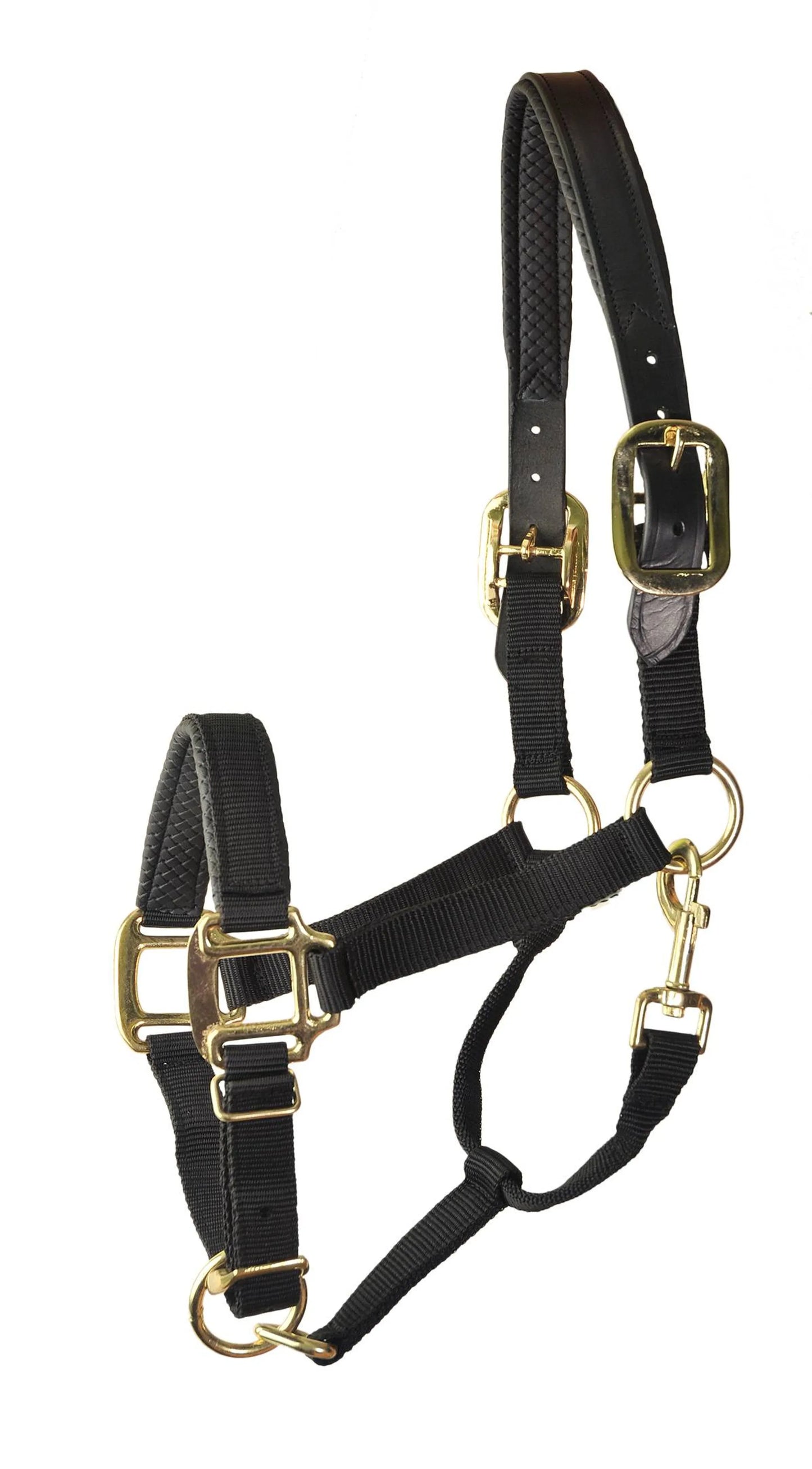 Gatsby Premium Nylon Halter with Padded Leather Overlay