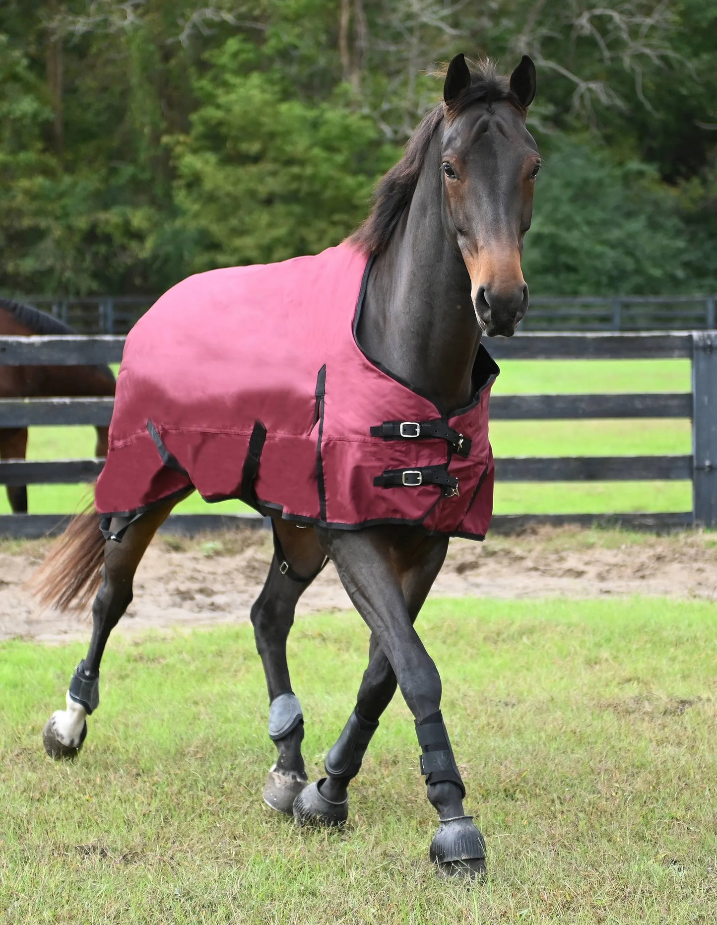 Gatsby Premium 1200D Heavyweight Waterproof Turnout Blanket