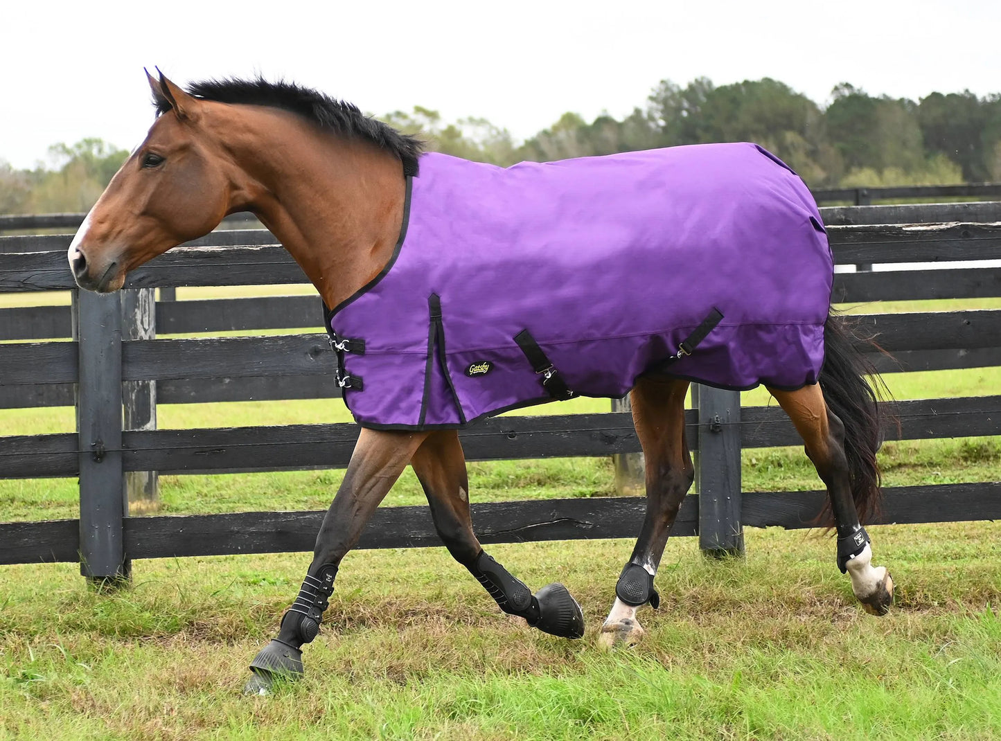 Gatsby Premium 1200D Heavyweight Waterproof Turnout Blanket