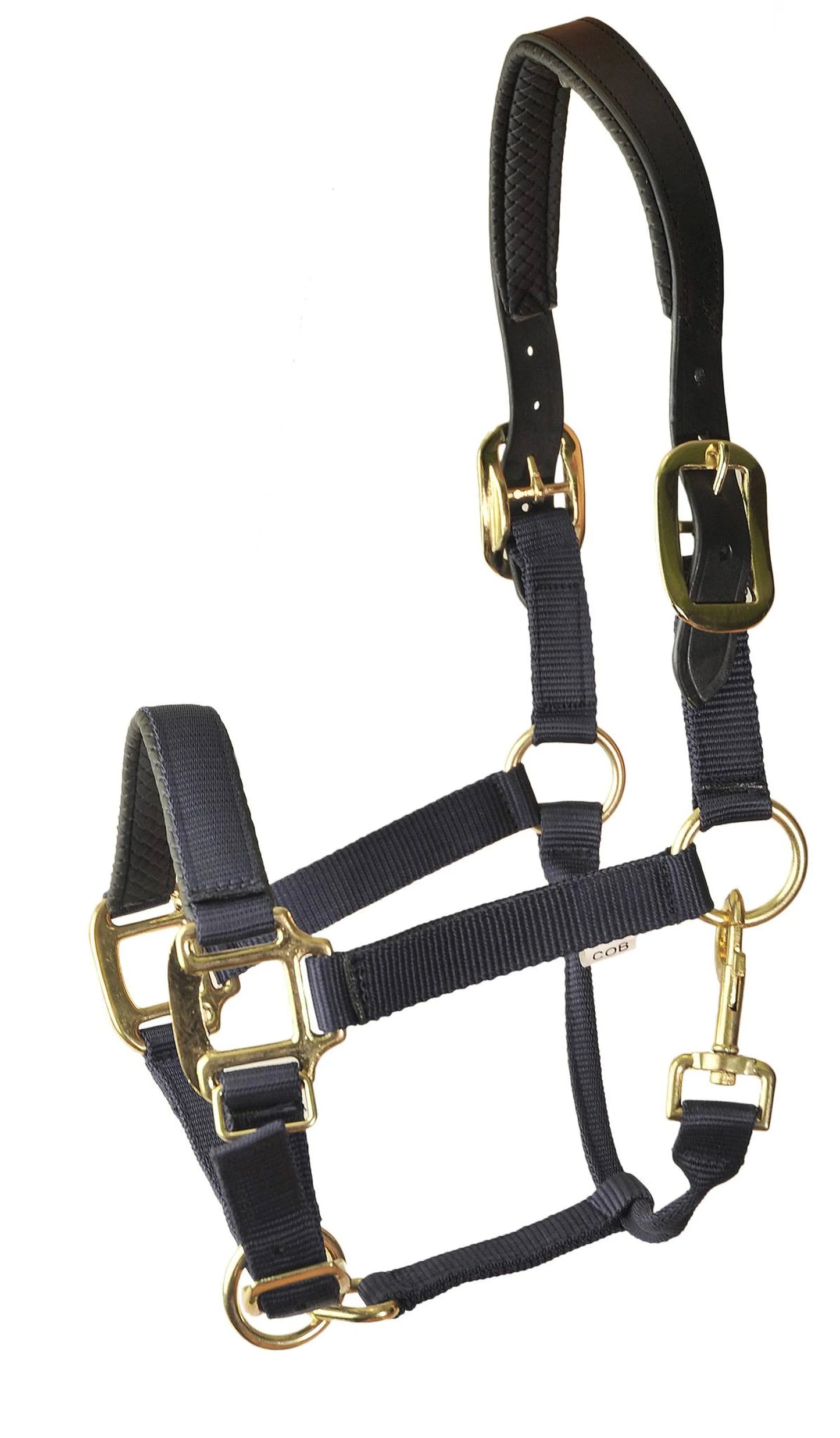 Gatsby Premium Nylon Halter with Padded Leather Overlay