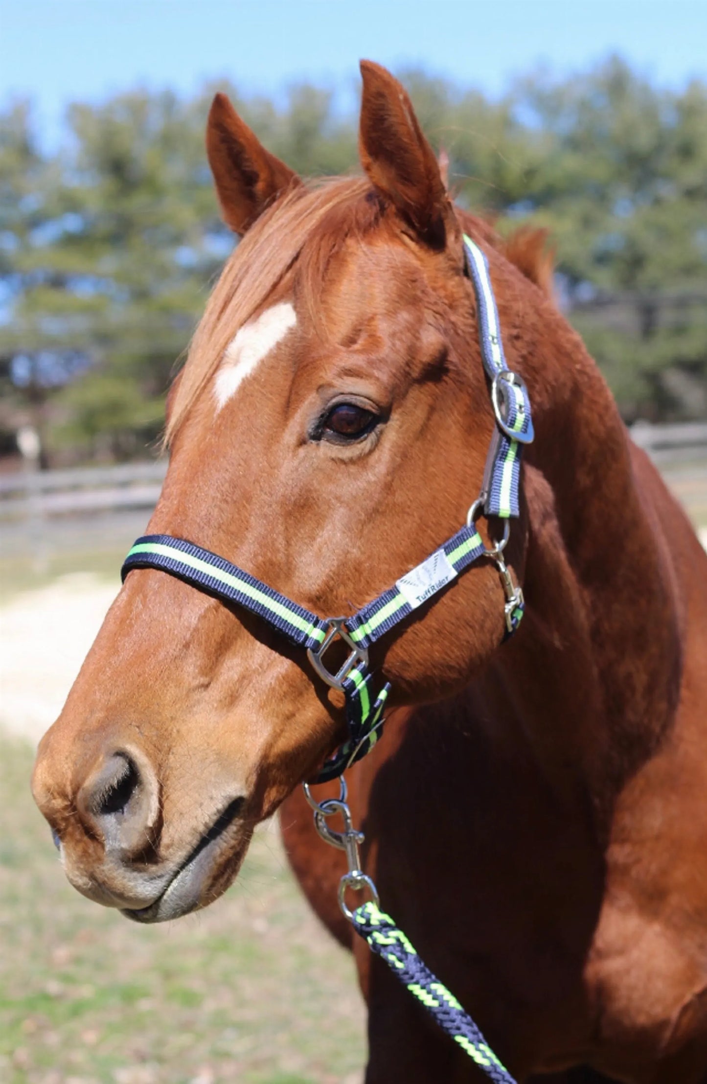 TuffRider Nylon Breakaway Halter & Lead Set