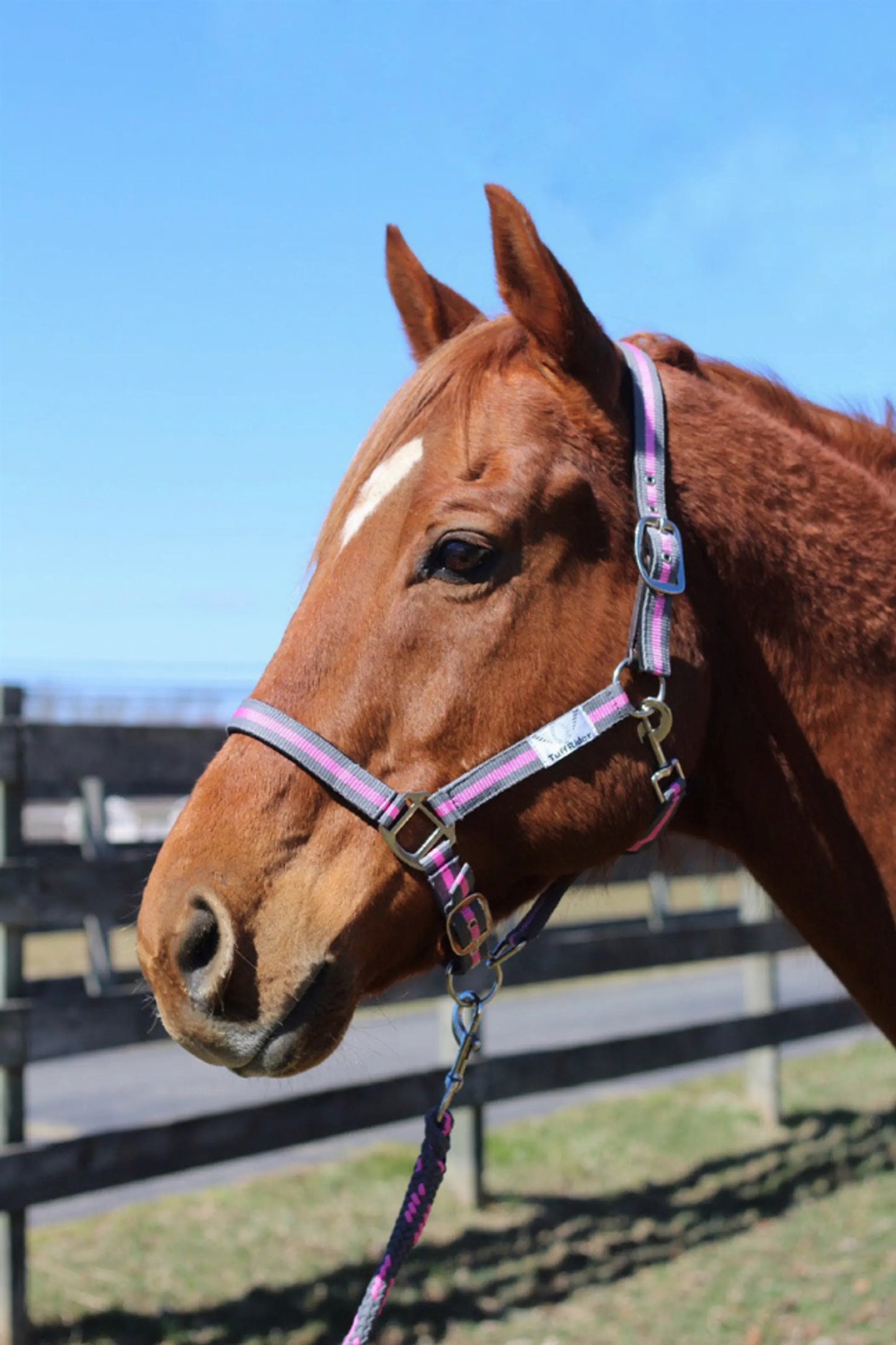 TuffRider Nylon Breakaway Halter & Lead Set