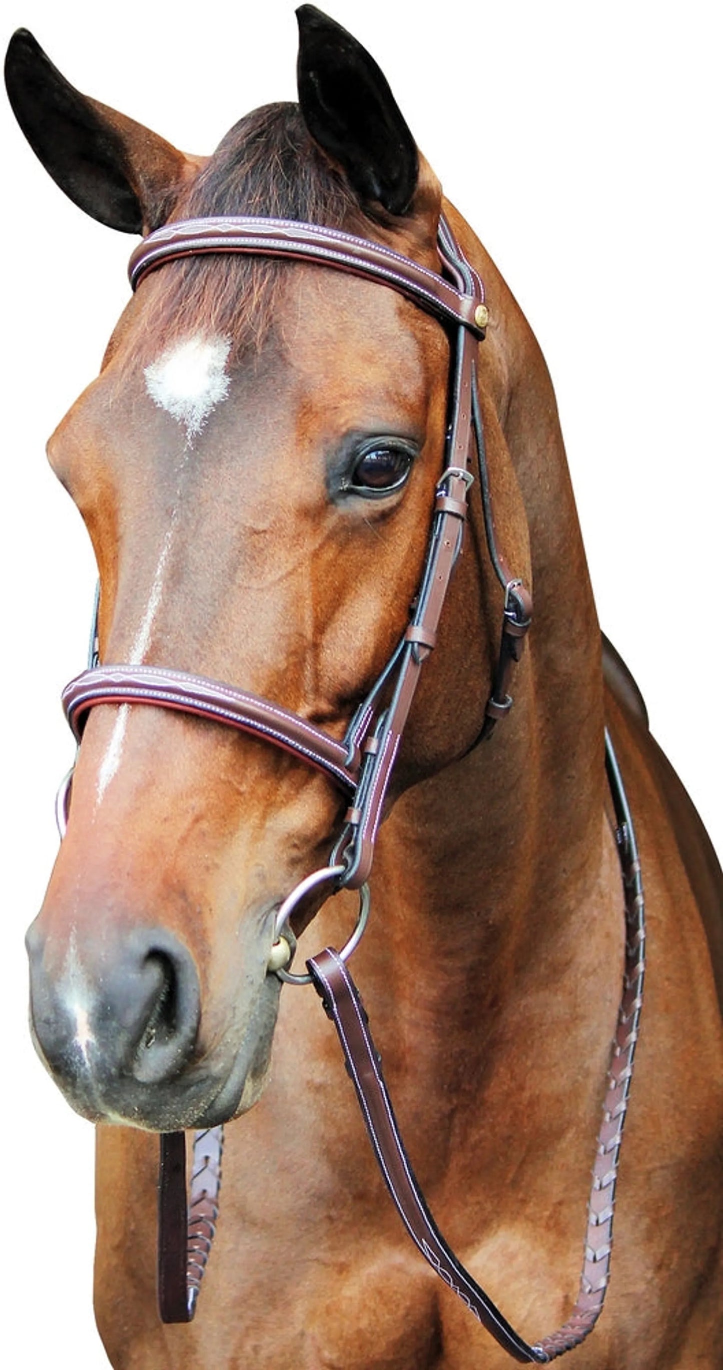 Henri de Rivel Pro Fancy Raised Comfort Crown Padded Bridle With Fancy Raised Reins