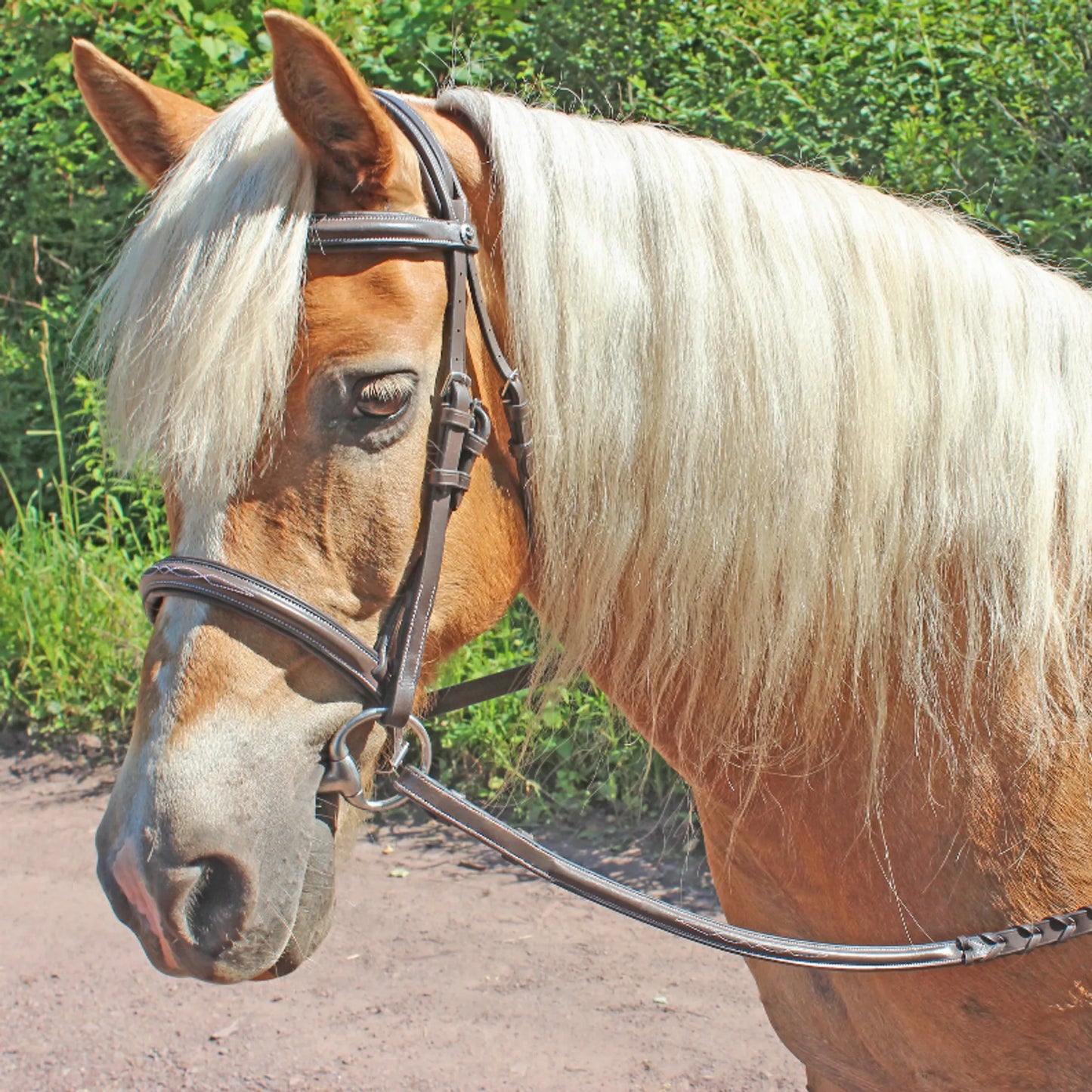 Henri de Rivel Pro Fancy Raised Comfort Crown Padded Bridle With Fancy Raised Reins